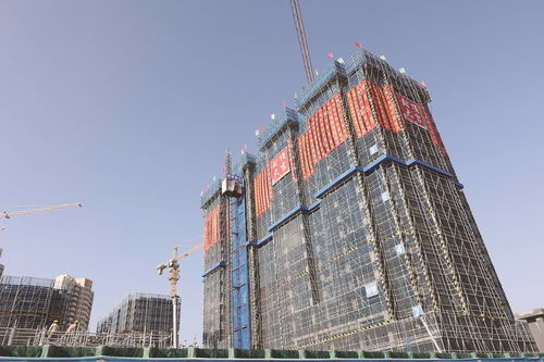 灵秀镇灵山村 电商人才社区 首栋楼封顶