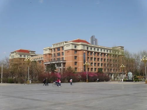 渤海大学食品科学与工程学院人才招聘公告
