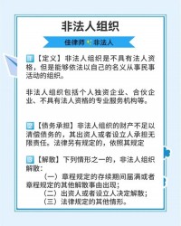 非营利法人中的社会服务机构法人，其执行机构的职权有哪些？（考点：社会服务机构法人执行机构职权）