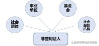 非营利法人中的社会服务机构法人，其法定代表人是否可以由理事长担任？（考点：社会服务机构法人法定代表人担任）