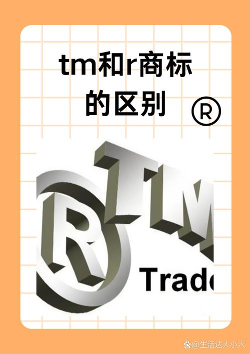 专利权和商标权的主要区别是什么?(专利权保护技术创新,商标权保护商业标识)